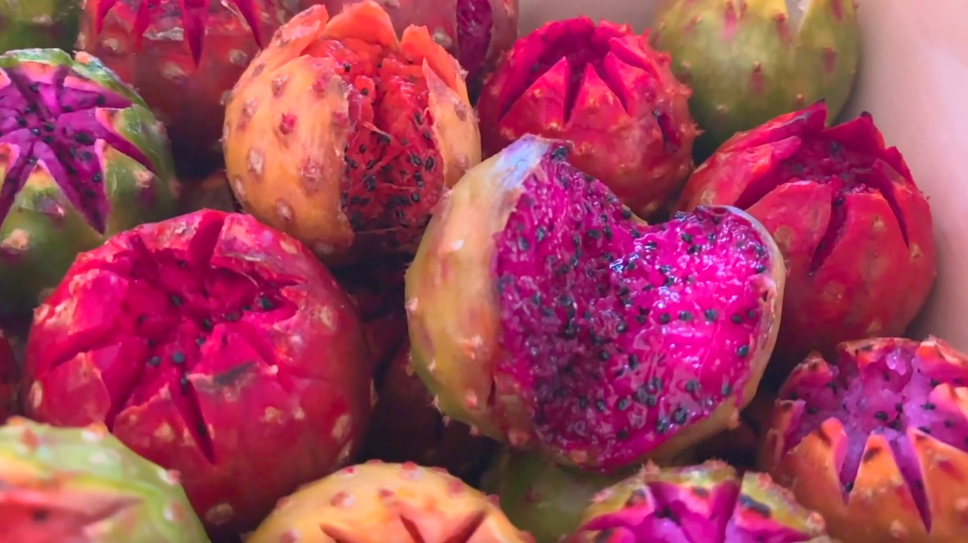 “El Rey de dulce de Pitaya” – Feria de la Pitaya Miraflores 2019