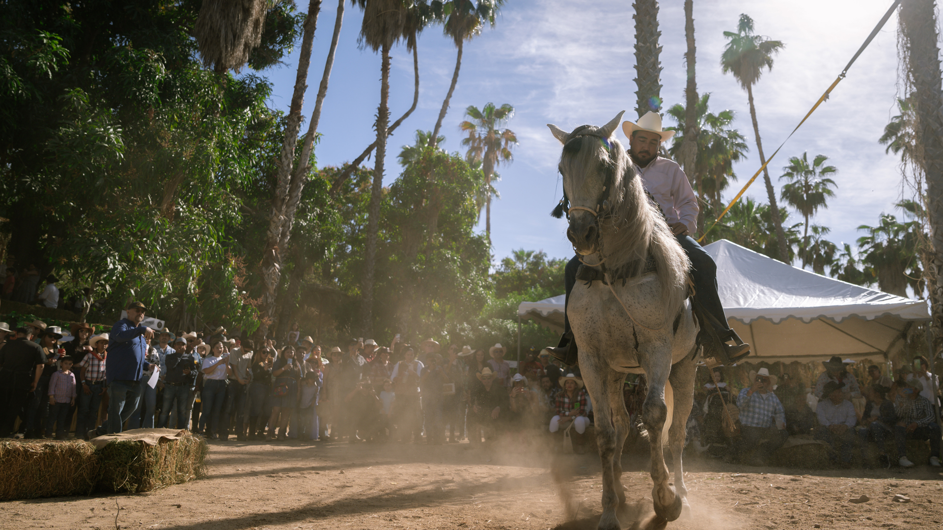 Sabor a Cabo Rural 2024